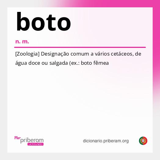 Significado de boto
